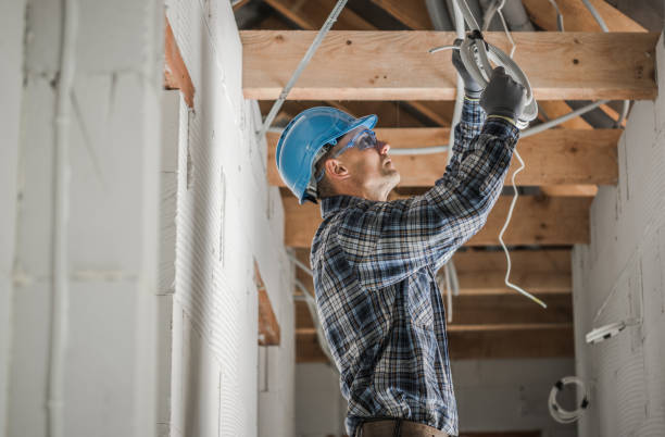 Best Outdoor Lighting Installation  in Manistee, MI