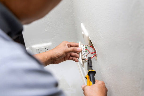 Best Generator Installation Services  in Manistee, MI