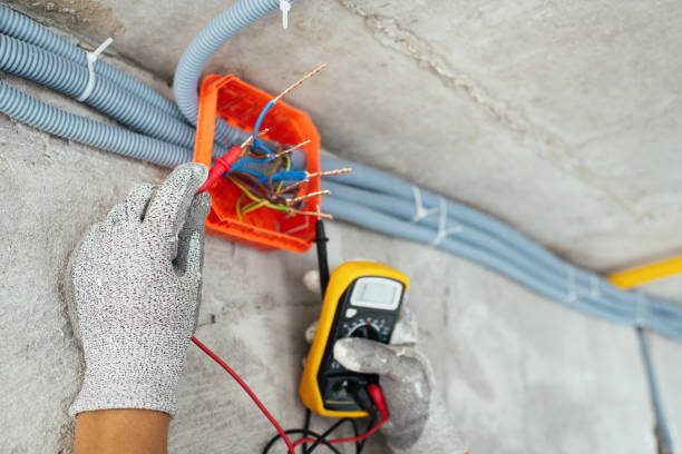Best Ceiling Fan Installation Electrician  in Manistee, MI
